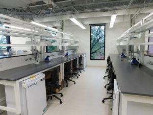 lab